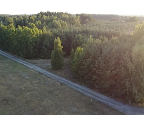 Dom na dużej działce w Świesielicach gm. Ciepielów