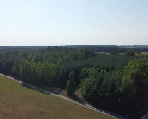 Dom na dużej działce w Świesielicach gm. Ciepielów