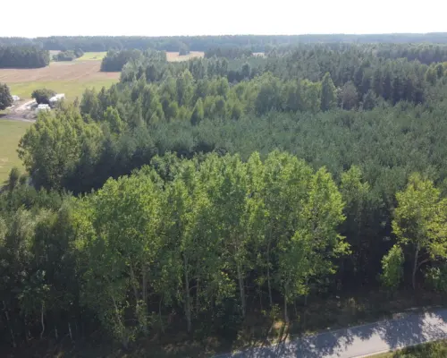 Dom na dużej działce w Świesielicach gm. Ciepielów