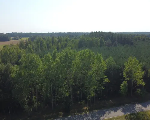 Dom na dużej działce w Świesielicach gm. Ciepielów