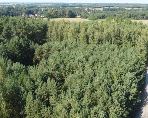 Dom na dużej działce w Świesielicach gm. Ciepielów