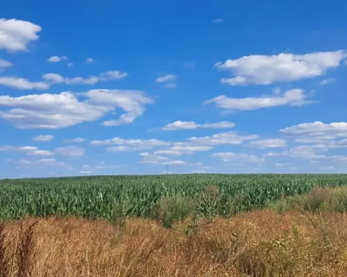 Miłków Kolonia. Piękna działka budowlana!