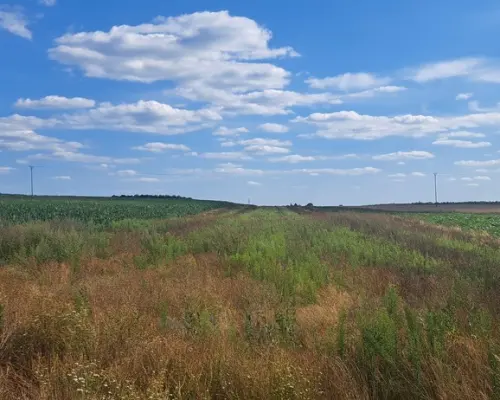 Miłków Kolonia. Piękna działka budowlana!