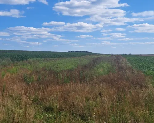 Miłków Kolonia. Piękna działka budowlana!