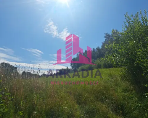 Działka  budowlana 50a - Jędrzejowice