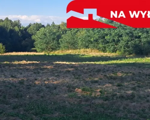Urocza działka tuż przy lesie. Majdan Stary