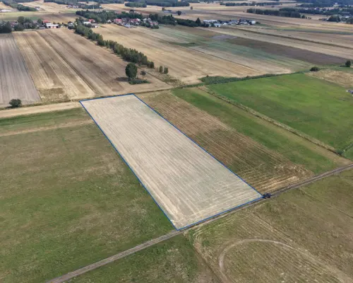 Wapiennik, gm. Miedźno | Działki na sprzedaż