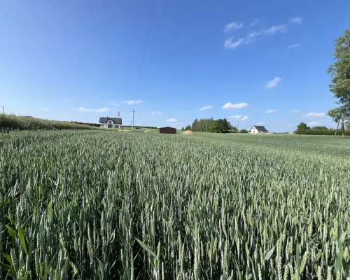Jastków - działka budowlana 1500m2