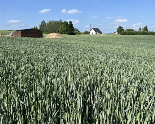 Jastków - działka budowlana 1500m2