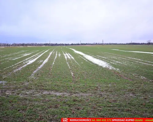 Wierciszów, działka budowlana MN, media.
