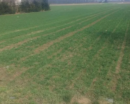 Jakubowice Kon. - Szeroka działka budowlana