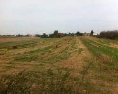 Wola Przybysławska 77 ar