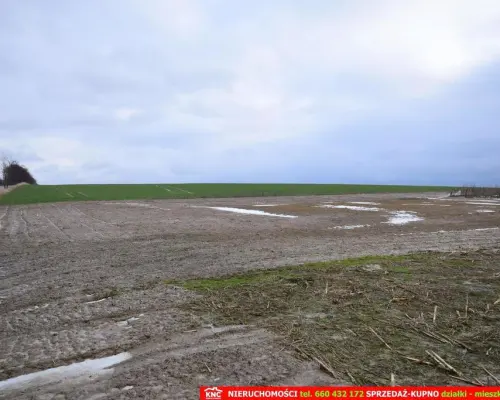 Wierciszów, działki budowlane MN, media 100%.