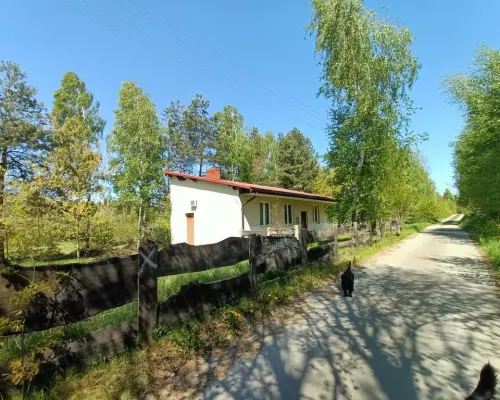 Działka z WZ 4883 m2 Gródek gm. Policzna/zwoleński
