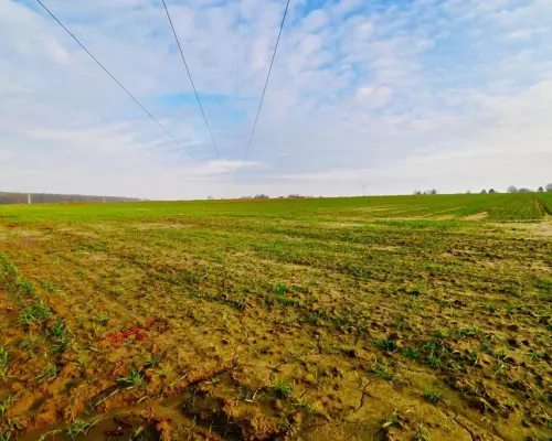Działka rolno-budowlana - doskonała inwestycja!