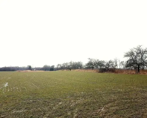 Uniszowice gm. Konopnica, 7800 m2