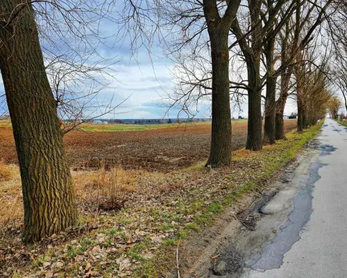 Działka inwestycyjna w Zemborzycach Kościelnych