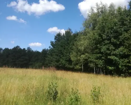 Kolonia Garbatówka, działka rolna, 3,18 ha!!