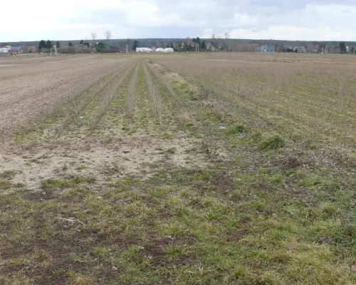 Działka w doskonałej lokalizacji-5 min. od Zalewu