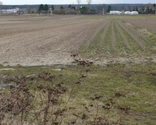 Działka w doskonałej lokalizacji-5 min. od Zalewu