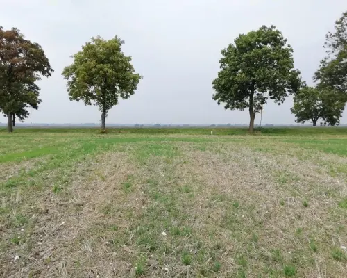 Działka inwestycyjna 4,5 ha bezpośrednio przy S12