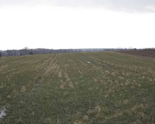 Cicha działka Tomaszowice