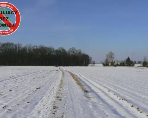 Krężnica Jara 8km od Lublina. 8000m2