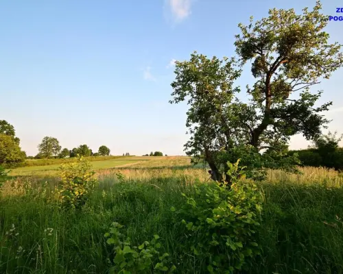 Działka doskonała pod inwestycję - Nałęczów - 14ar