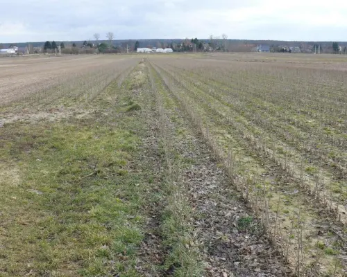 Działka w doskonałej lokalizacji-5 min. od Zalewu