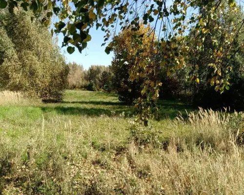 Piotrowice - działka 20 arów w doskonałej cenie!