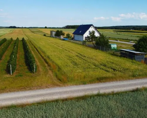 Borów Kol. Duża działka z możliwością uzyskania WZ