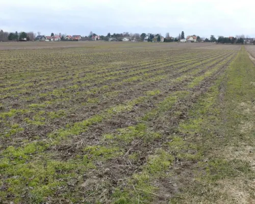 Działka w doskonałej lokalizacji-5 min. od Zalewu