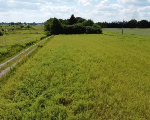 Snopków, 74ar, Gmina Jastków, Media