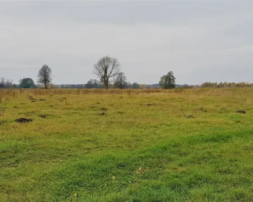 Samoklęski kol. Pierwsza - działka rolna