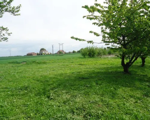 Pawlin gmina Konopnica około 12km od Lublina