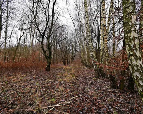 95 arów pod Kazimierzem Dolnym