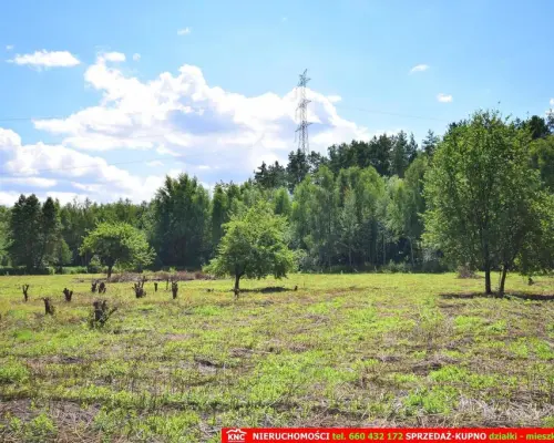 Pliszczyn, działka do wydzielenia 30-50a, rzeka.
