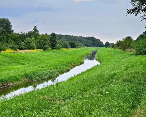Łąki przy kanale - częściowo pod wydobycie torfu!!