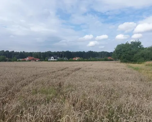 Piękna działka budowlana blisko lasu- 17ar-Świdnik