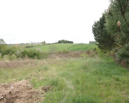 Duża działka rolna ok. 1 ha Jakubowice Konińskie