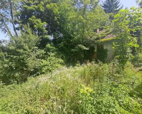 Gm. Rybczewice - Częstoborowice -siedlisko - 20ar