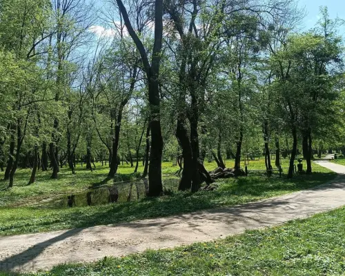 MIESZKANIE Z BALKONEM PRZY PARKU