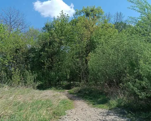 MIESZKANIE Z BALKONEM PRZY PARKU