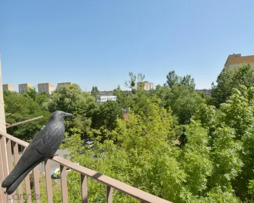 Wynajem 4 pok mieszkanie z balkonem, klimatyzacja