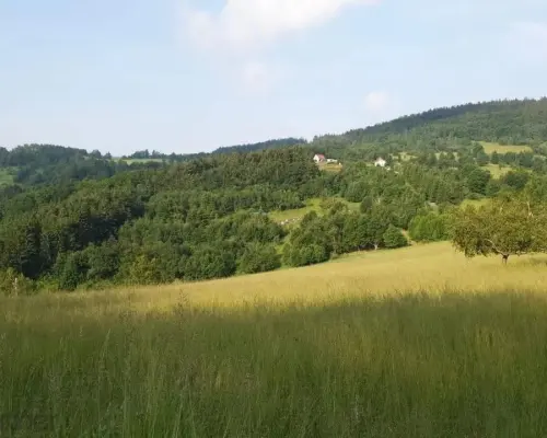 Działka w Górach Sowich