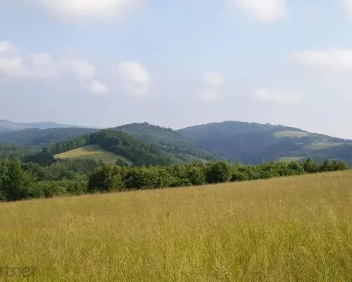 Działka w Górach Sowich