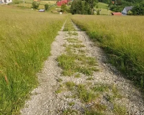 Działka w Górach Sowich