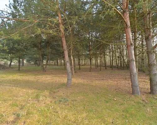 Piękna działka blisko lasu, Miłoszyce