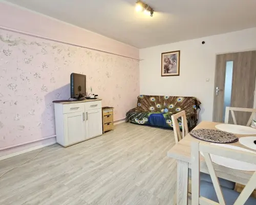 Mieszkanie 2 Pokojowe na I piętrze w centrum