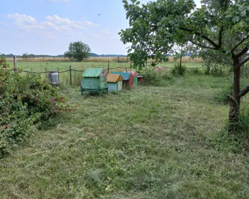 Dom wolnostojący 250m2 | Działka 34ar | Budynki